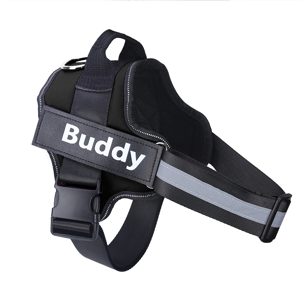 Personalized Dog Harness.