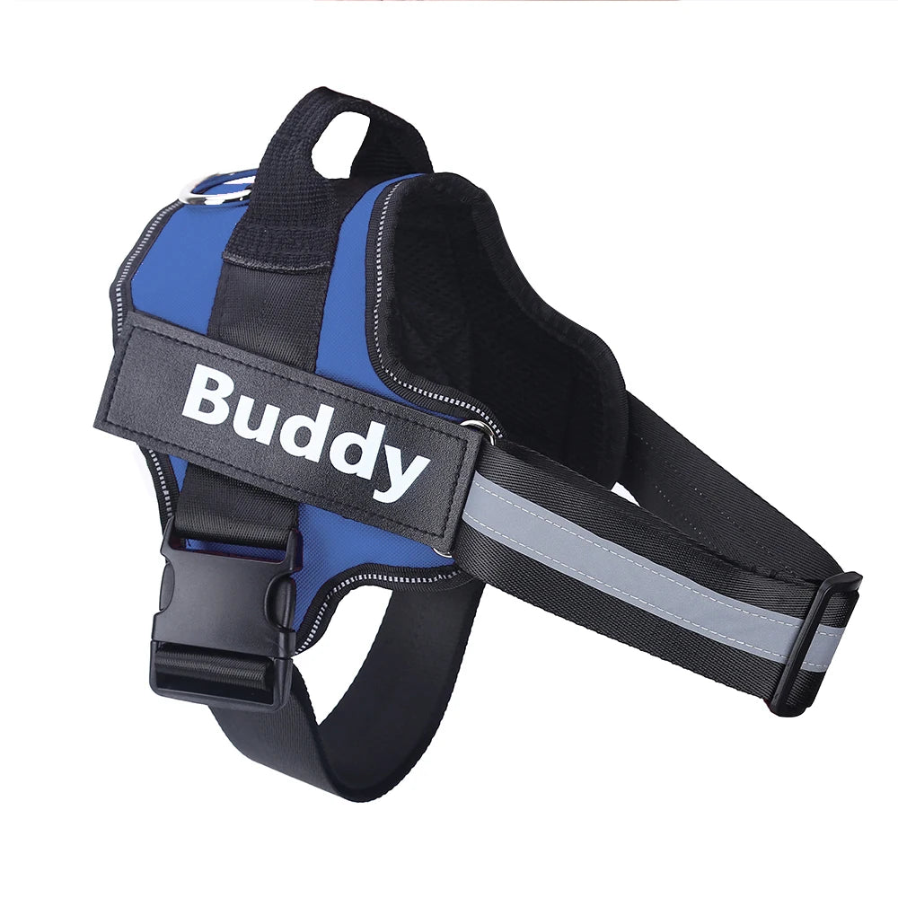 Personalized Dog Harness.