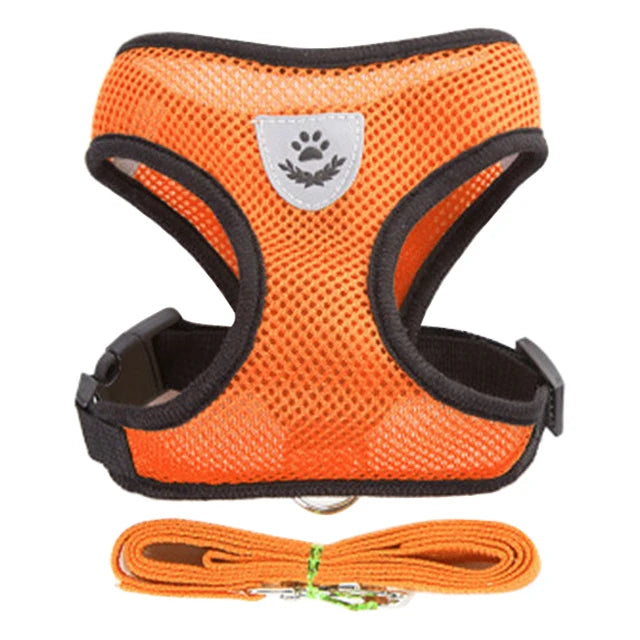 Harness for Small Dogs & Cats.