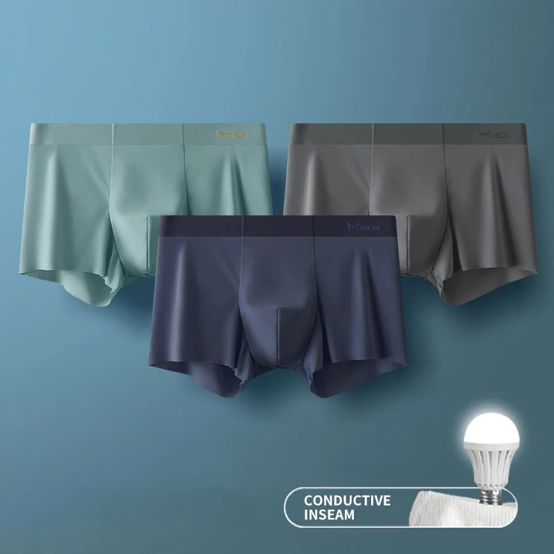3Pcs Ice Silk Man Underwear.