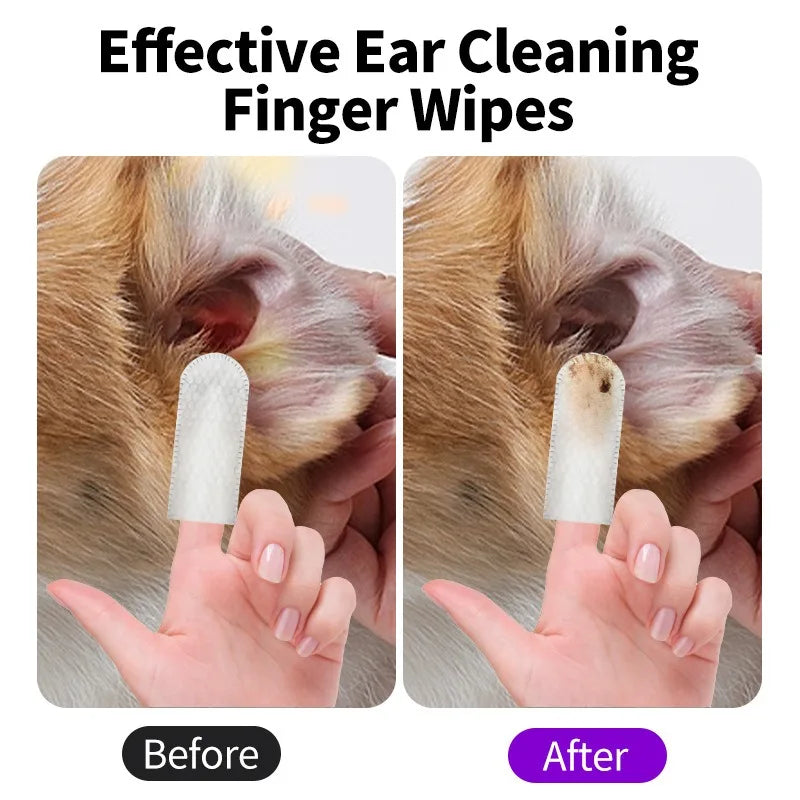 Ear Cleaning ear mite removal for dog and cat
