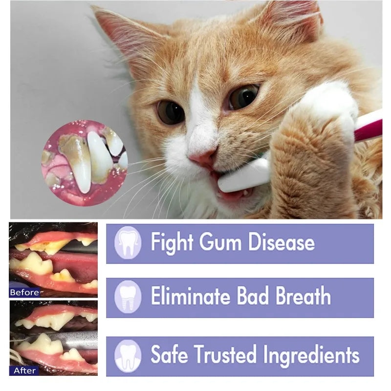 Toothpaste for Dogs & Cats.
