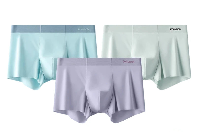 3Pcs Ice Silk Man Underwear.