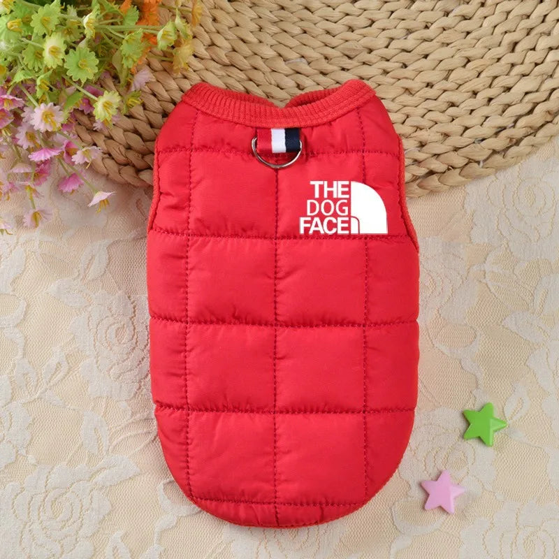 Trendy Winter Dog Clothes.