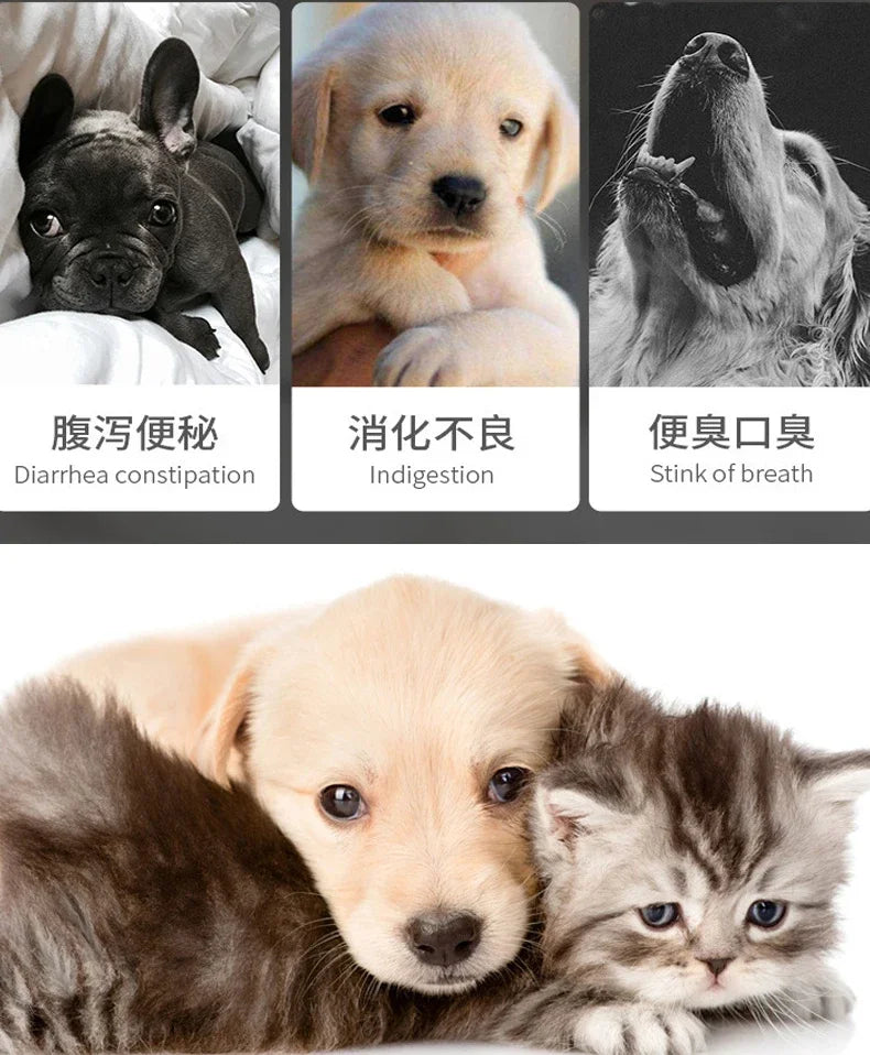 Pet Active Nutritional Probiotics Improve Diarrhea.