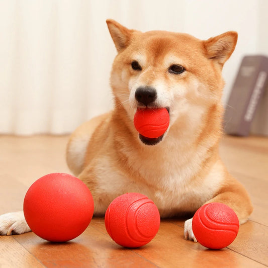 Indestructible Chew Proof Rubber Ball.