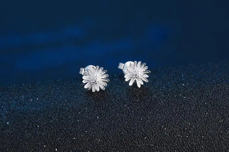 High Quality Silver Stud Earrings 925 For Women - BLAKESTORE-NG