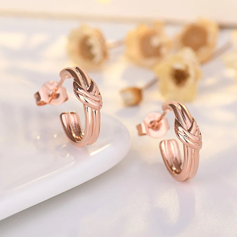 High Quality Silver Stud Earrings 925 For Women - BLAKESTORE-NG