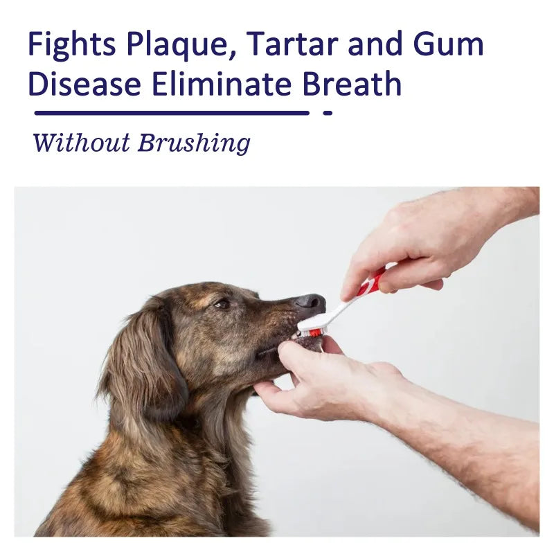 Toothpaste for Dogs & Cats.