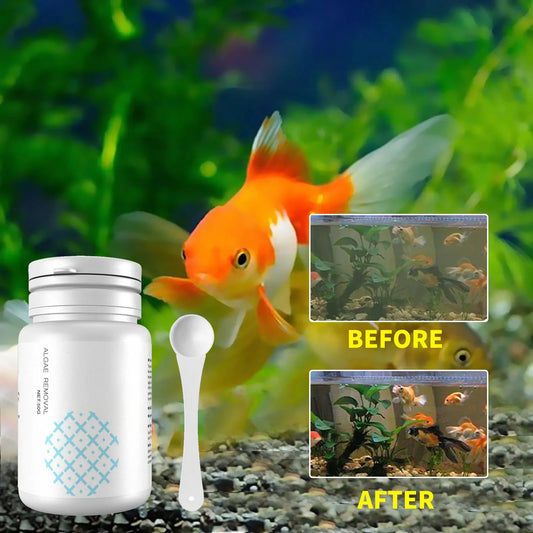 Fish Tank Cleaning Algae Tablets.