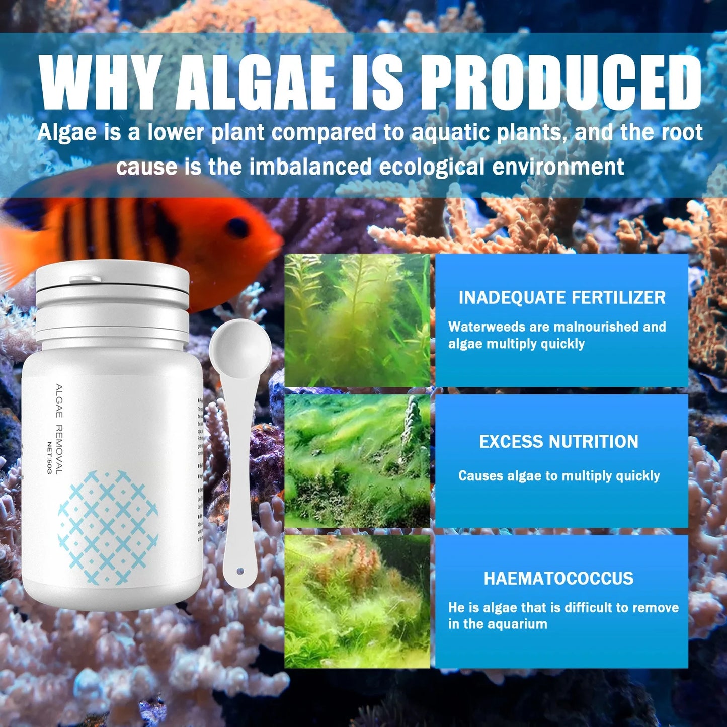 Fish Tank Cleaning Algae Tablets.
