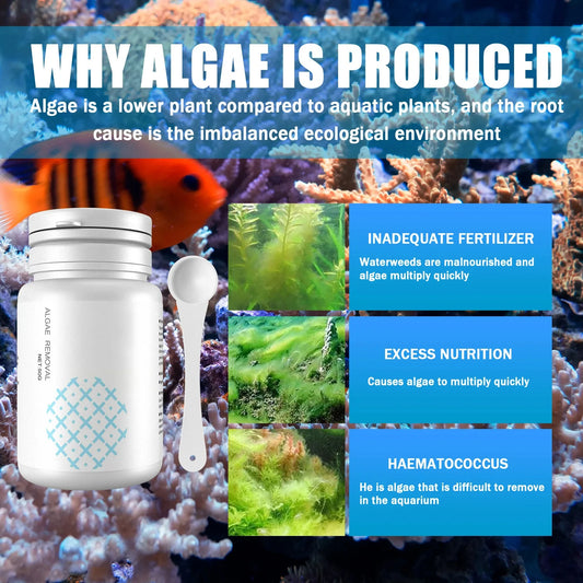 Fish Tank Cleaning Algae Tablets.