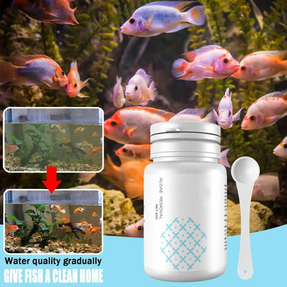 Fish Tank Cleaning Algae Tablets.