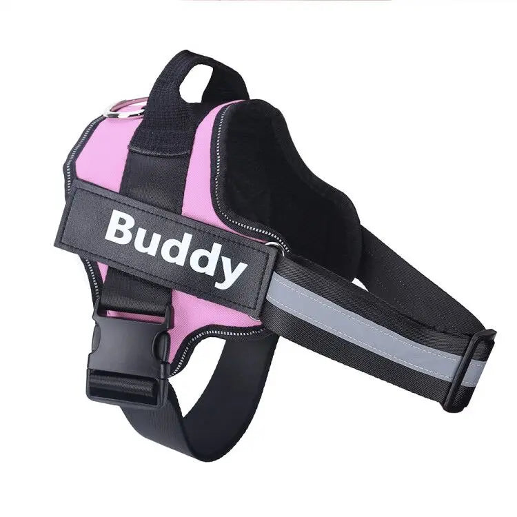 Personalized Dog Harness.