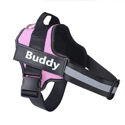 Personalized Dog Harness.