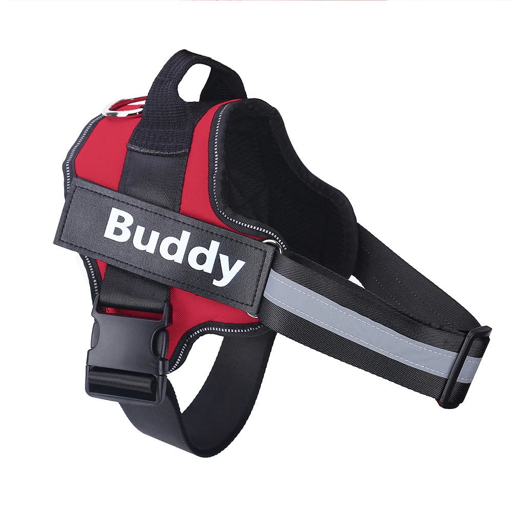 Personalized Dog Harness.