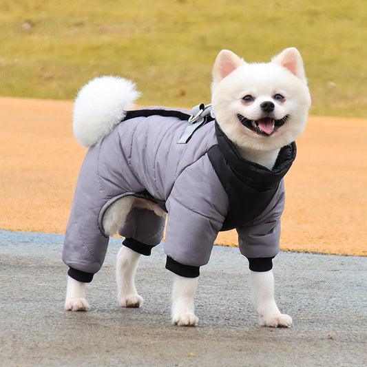 warm puppy coat for chihuahua and french bulldog
