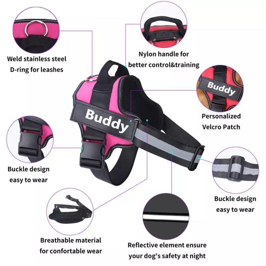 Personalized Dog Harness.