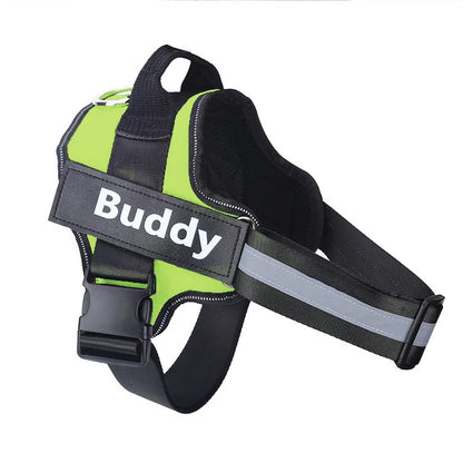 Personalized Dog Harness.