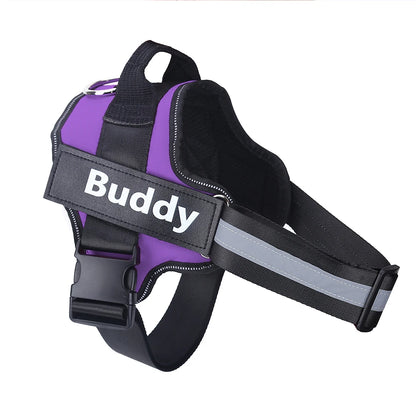 Personalized Dog Harness.