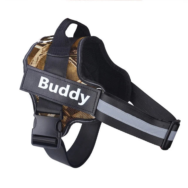 Personalized Dog Harness.