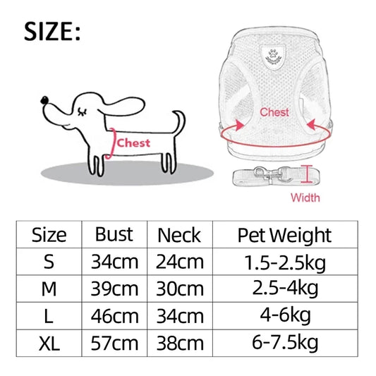 Harness for Small Dogs & Cats.