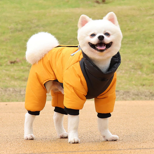 waterproof winter dog jacket for small and large dogs
