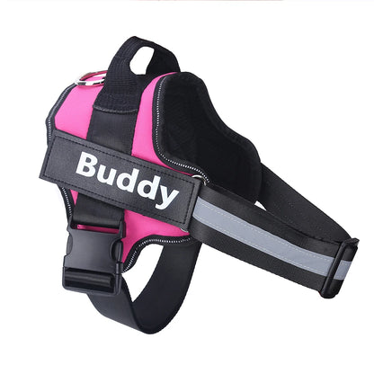 Personalized Dog Harness.
