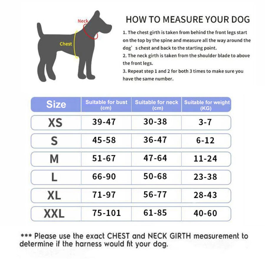 Personalized Dog Harness.
