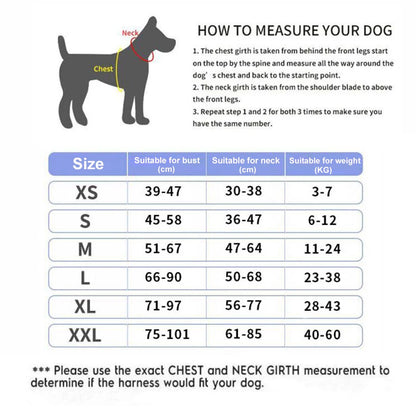 Personalized Dog Harness.