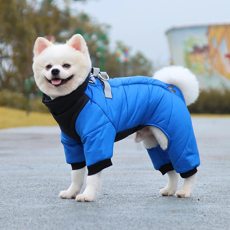 waterproof dog coat for cold weather walks