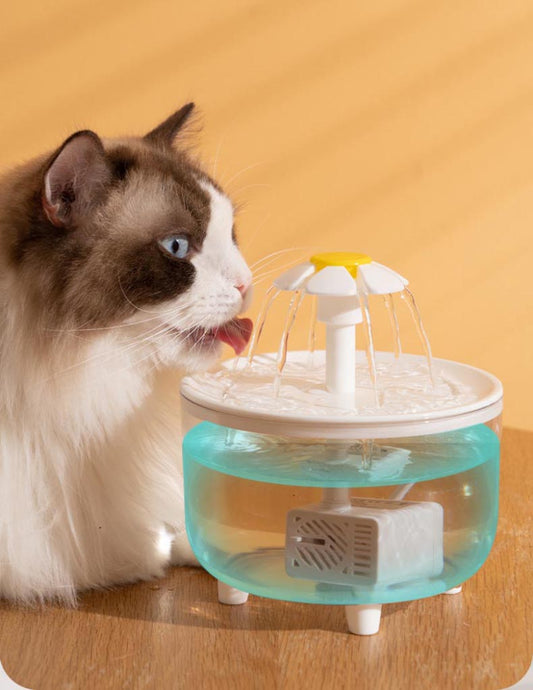 USB Electric Pet fountain drinking bowl.