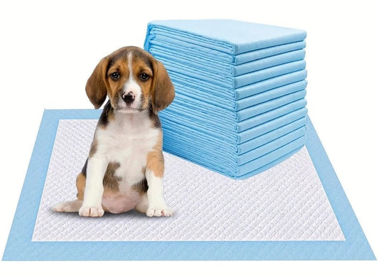 Disposable Dog & Cat Diaper.