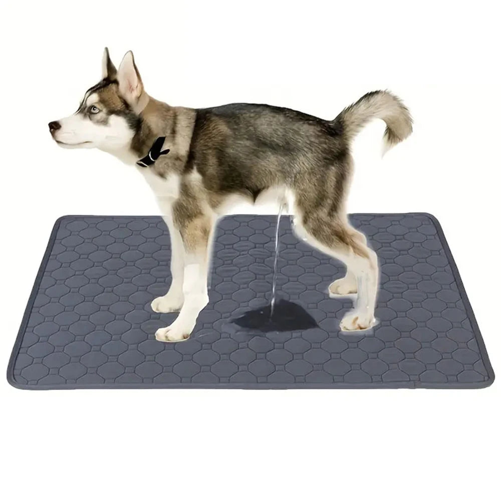 Reusable Dog Pee Pad.