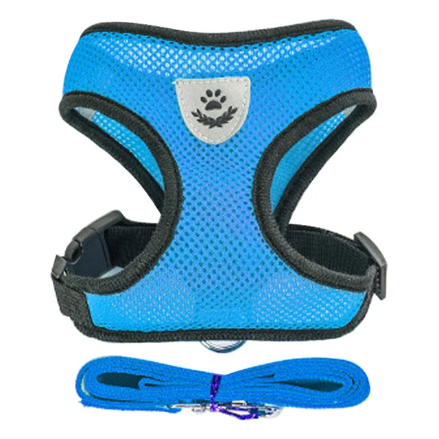 Harness for Small Dogs & Cats.