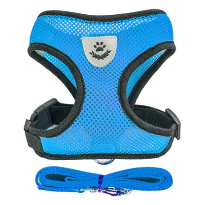 Harness for Small Dogs & Cats.