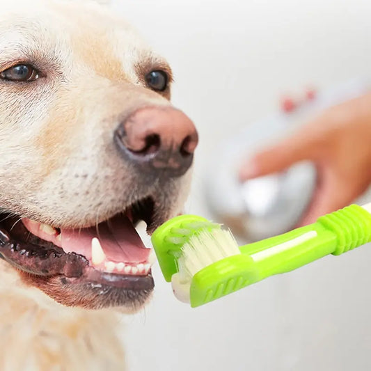 Dog & Cat Toothbrush.