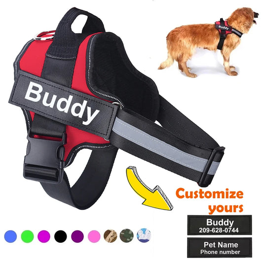 Personalized Dog Harness.