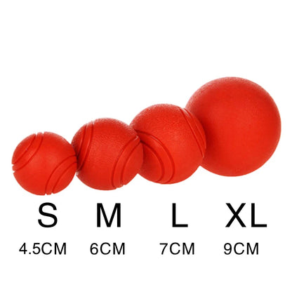 Indestructible Chew Proof Rubber Ball.