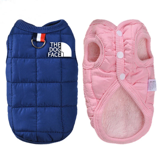 Trendy Winter Dog Clothes.