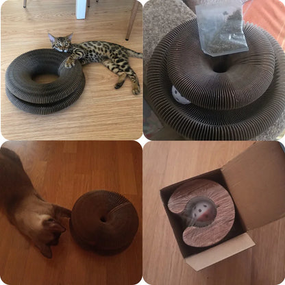 Cat Toy Scratcher.
