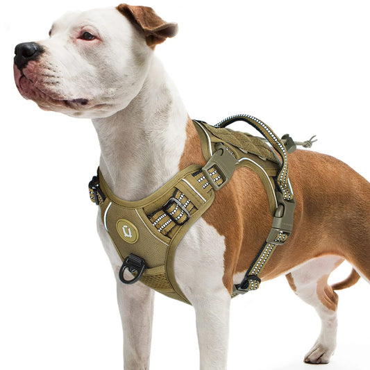 Dog Harness for Middle - Large Dog.