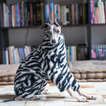 warm plush dog coat for cold weather walks