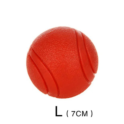 Indestructible Chew Proof Rubber Ball.