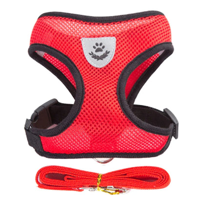 Harness for Small Dogs & Cats.