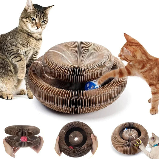 Cat Toy Scratcher.