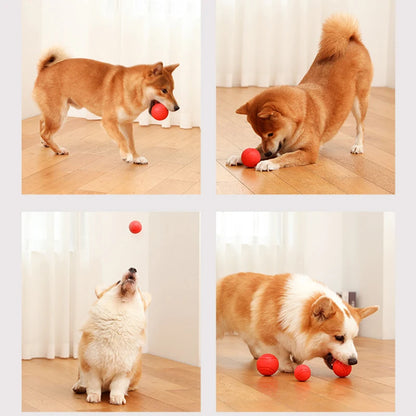 Indestructible Chew Proof Rubber Ball.