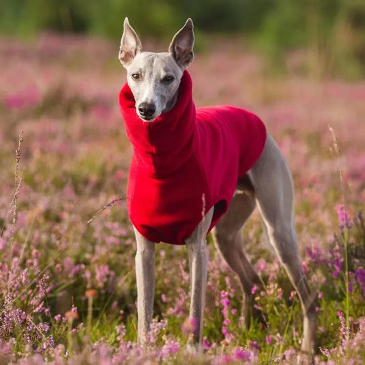 winter fleece whippet vest turtleneck dog clothes