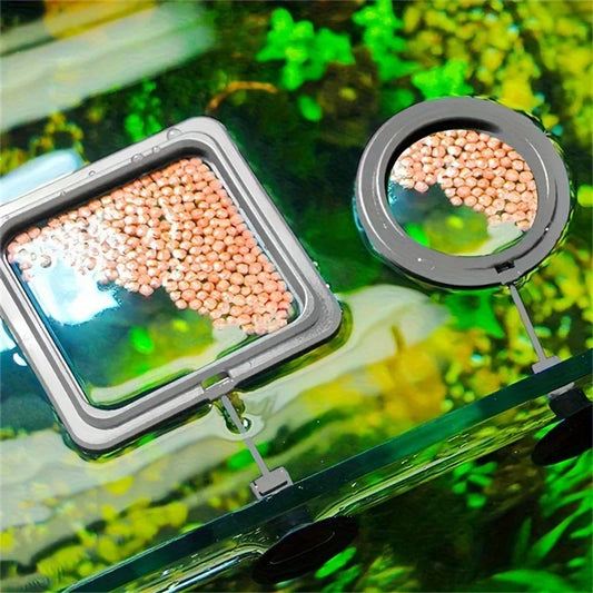 Floating Fish Food Feeder Ring.