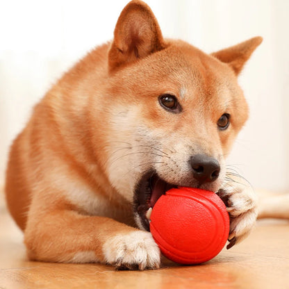 Indestructible Chew Proof Rubber Ball.
